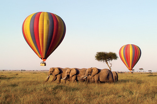 masai mara hot air ballons